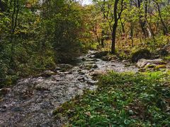 -玉渡山自然风景区