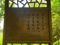 -荷塘月色湿地公园·向阳花洲