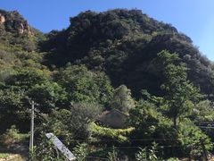 -大岭沟猕猴桃谷风景区