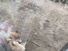 -武汉动物园