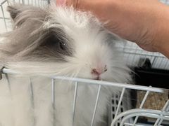 -小意思咖啡店(草桥店)