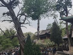 -晋祠公园