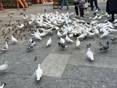 -天龙宝严素食馆(大兴善寺店)