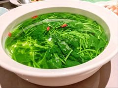 泉水时蔬-醉庐·新上海菜(南京西路店)