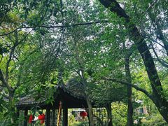 -雨花胜境