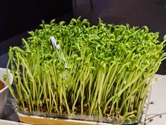 -海底捞火锅(勒泰店)