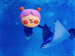 -烟台海昌鲸鲨海洋公园