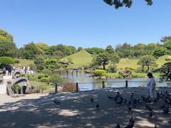 -水前寺成趣园