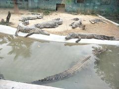 -泉州海丝野生动物世界