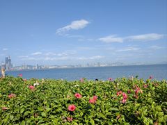 -深圳湾公园(南山区)