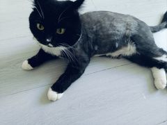 -大悦城(沈阳中街店)