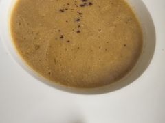 -Sultan pakistan苏单巴基斯坦