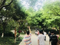 -天目湖山水园