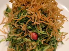 巧拌豆苗-四季民福烤鸭店(王府井灯市口店)