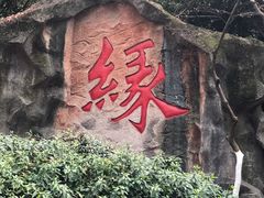 -杭州黄龙洞