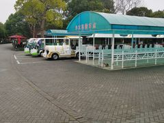 -上海海湾国家森林公园