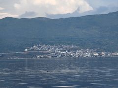 -才村湿地公园