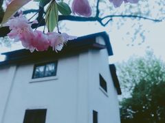 -杭州城北体育公园