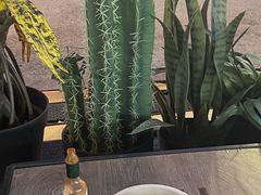 -HIHE Bistro·Oyster Bar(华熙live店)