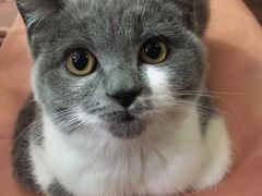 -星巴克(长沙麓南广场店)