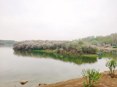 -丁香湖公园