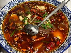 -新蜀会四川豆花(五羊店)