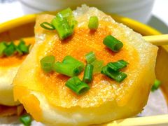 -紫光园·烤鸭(吕家营店)