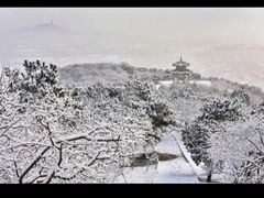 -北京西山国家森林公园