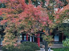 -碑林公园