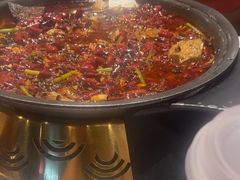 -锦尚阁烤鱼(望京新荟城店)