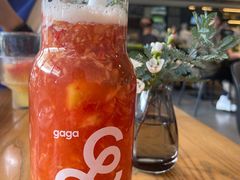 -gaga(深圳南山益田假日广场店)