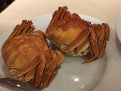 -王宝和酒家(黄浦店)