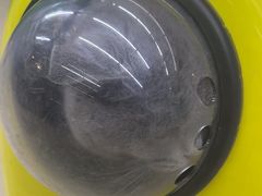 -瑞派动物医院·猫专科·至诚(江南中分院)