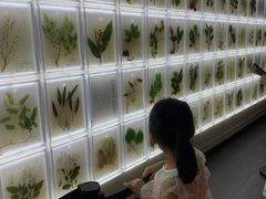 -广东中医药博物馆