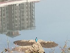 -红鼻子卤粉(总店)