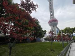 -东方明珠广播电视塔