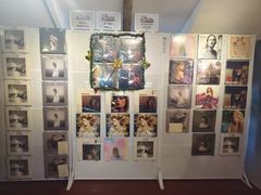 -树懒黑胶唱片店(中山路店)