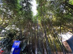 -马洛雷勒花园