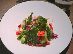 溫野菜沙拉-MUME