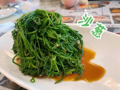 -新疆兵团食府清真(马连道店)
