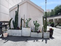 -喀城木卡姆烤全羊餐厅
