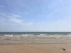 -日照海滨国家森林公园