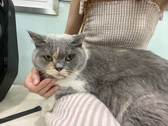 -宠福鑫康馨动物医院·骨科·眼科