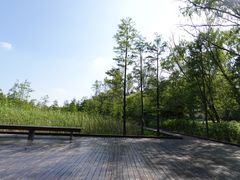 -昆山城市生态森林公园