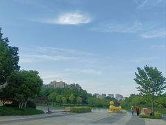 -青枫公园