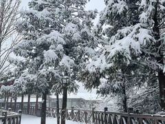 -江南天池