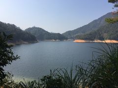 -广州市流溪河国家森林公园