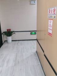-雍禾植发