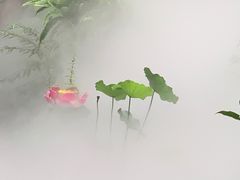 -大妙火锅·非物质文化遗产(东湖公园店)