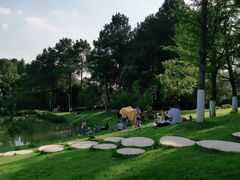 -铁山坪森林公园